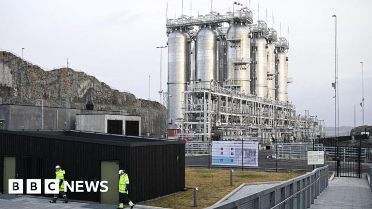 Billions risked on 'unproven' green tech, MPs warn