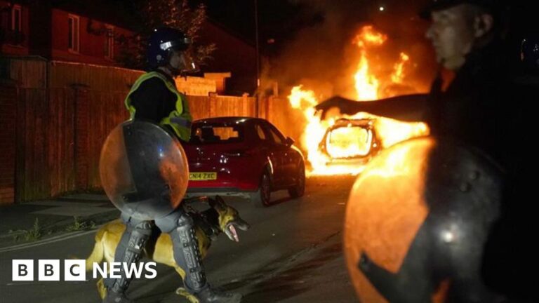 Some police forces unprepared for summer riots, MPs find