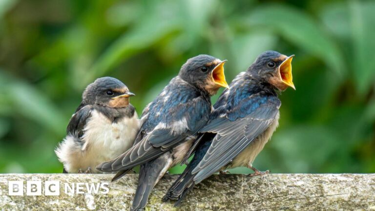 Spring wave of hot weather to be treat for nature lovers