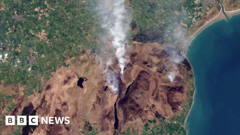 UK burnt area for 2025 already beats annual record