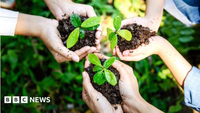 Overhead shot of three pairs of hands, each holding small green plants in soil.