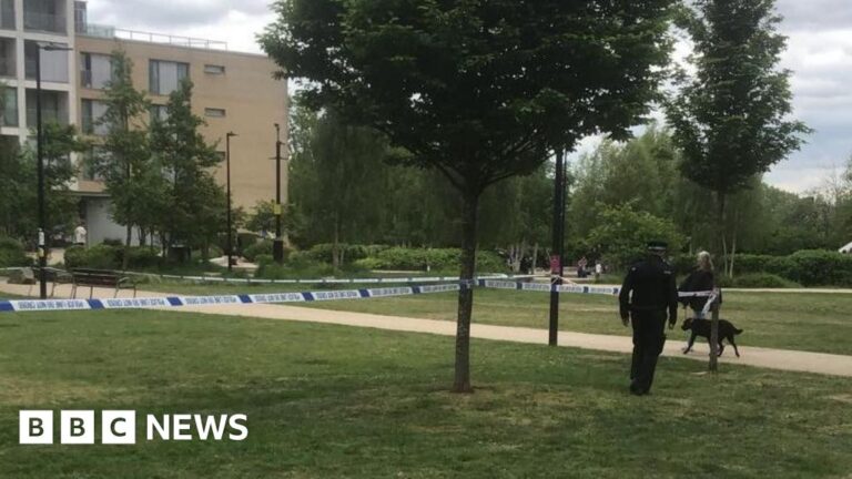Man charged with Manor House murder and robbery of 87-year-old
