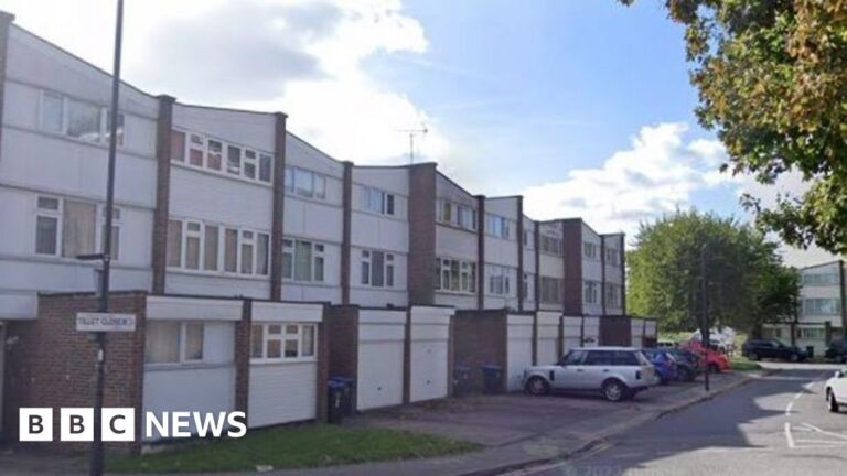 Woman and three children die in Brent house fire