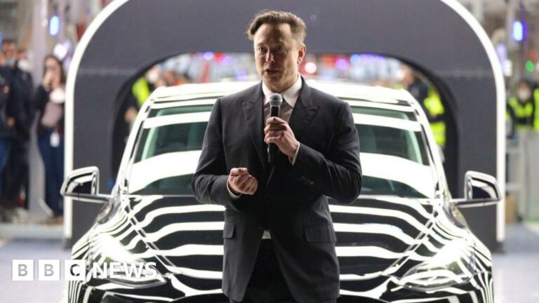 Elon Musk's Tesla is 'not interested' in producing cars in India