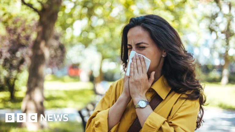 Why are pollen levels making hay fever so bad this year?